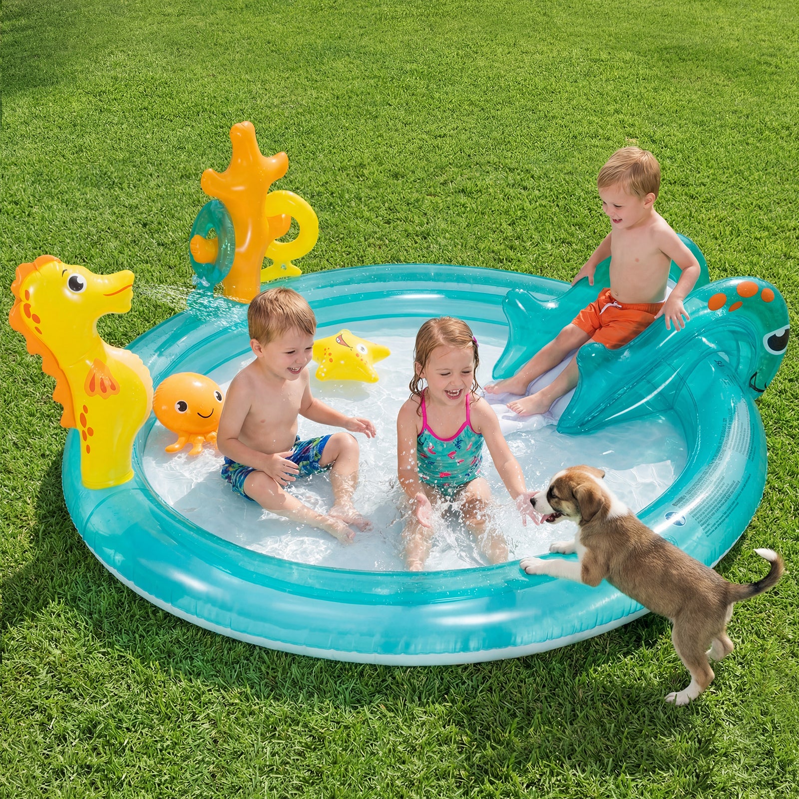 Inflatable Play Center, Marine Life Spray Pool with Slide, Seahorse-shaped Sprinkle - Image 2